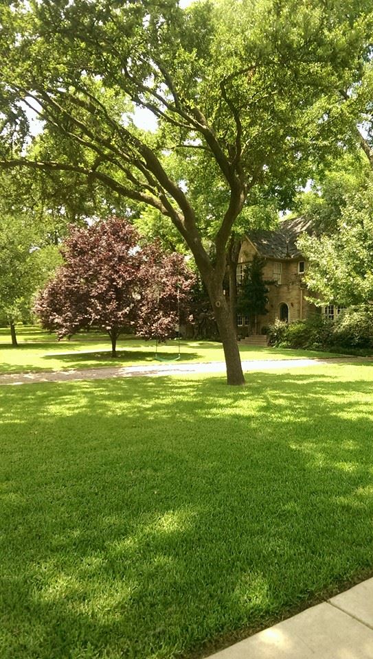 11261802_10105207210620071_5234783305084576820_n